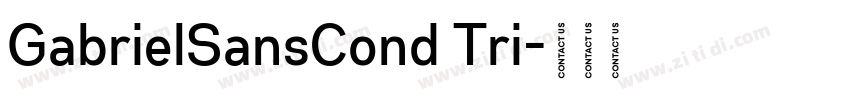 GabrielSansCond Tri字体转换